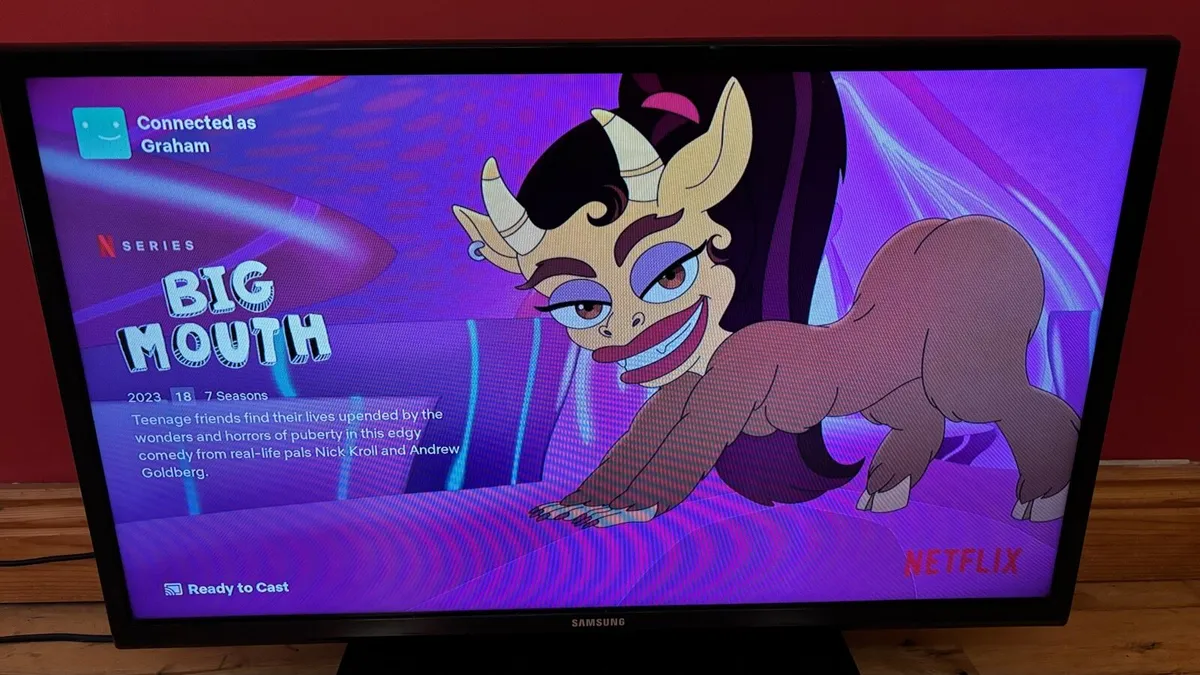 32” Samsung Smart TV with Chromecast - Image 2
