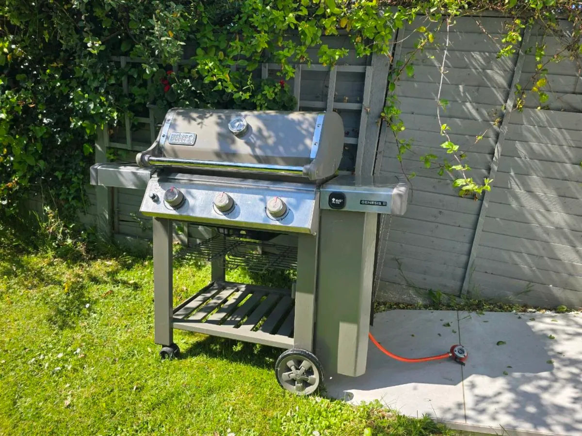 weber genesis ii e-310 - Image 1