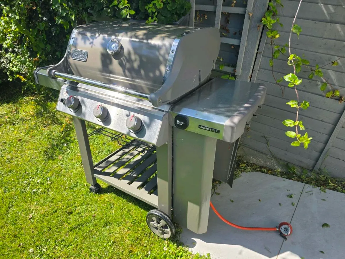 weber genesis ii e-310 - Image 2