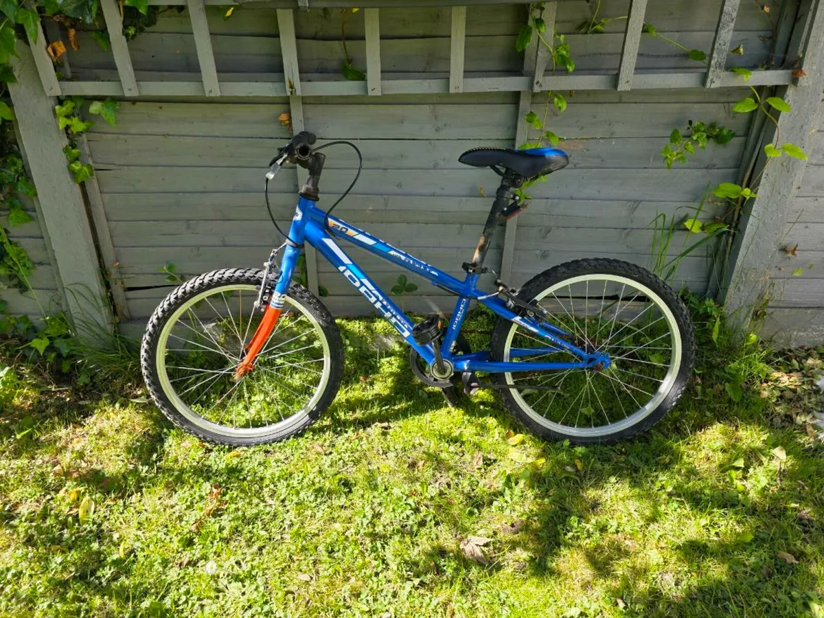 FREE - Bike and scooters - Image 1