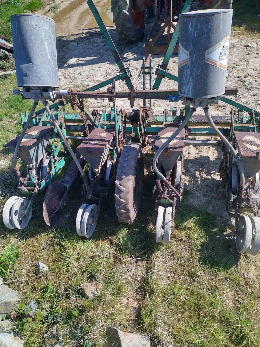 Armer Salmon beet seeders - Image 2