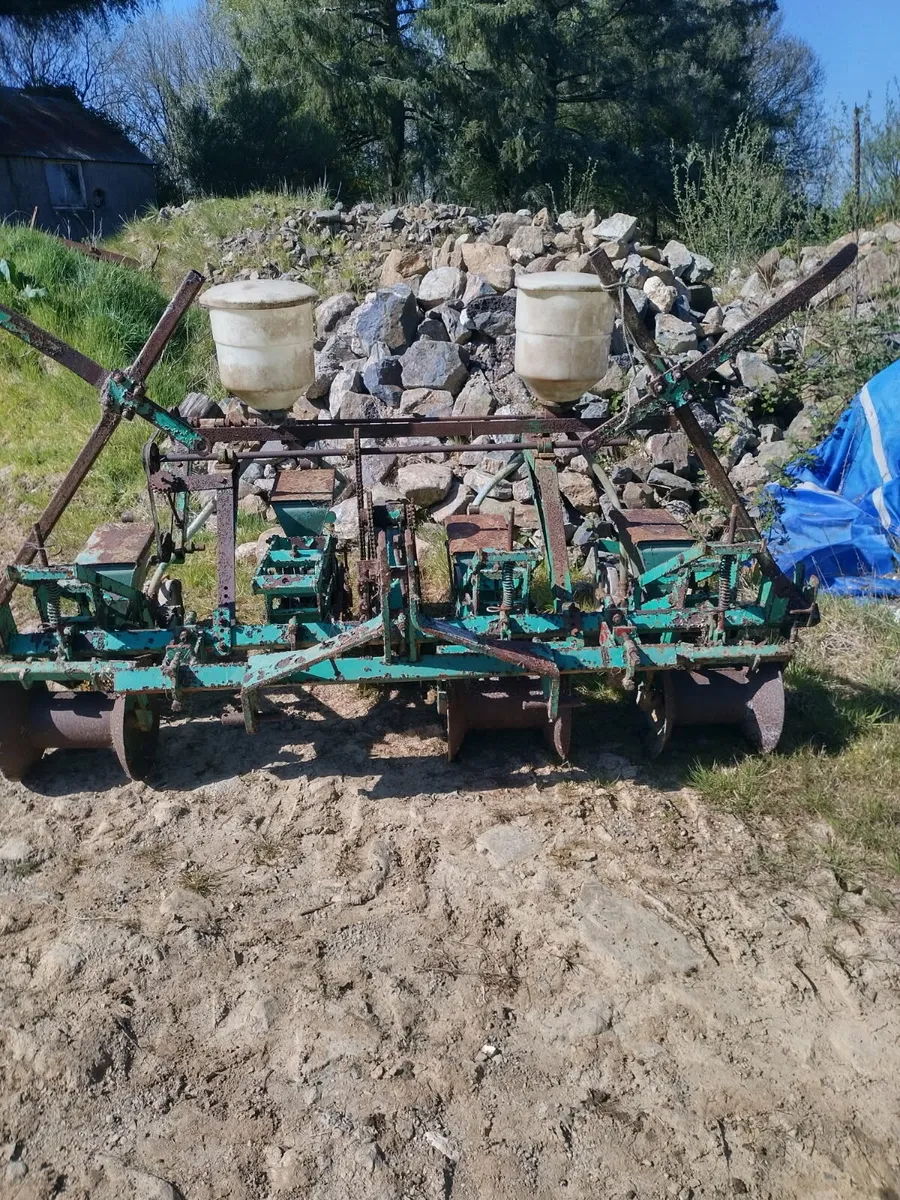 Armer Salmon beet seeders - Image 3