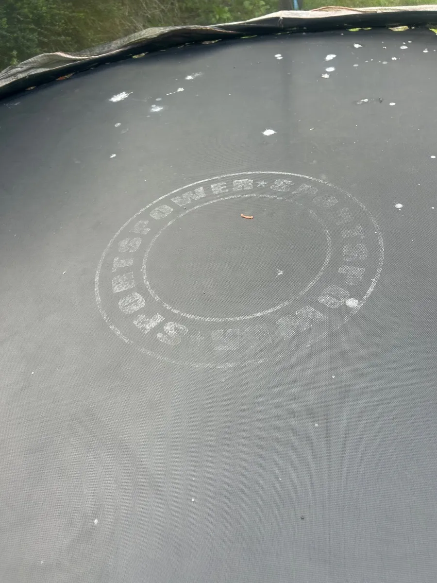 Sports Power Trampoline 10ft - Image 3
