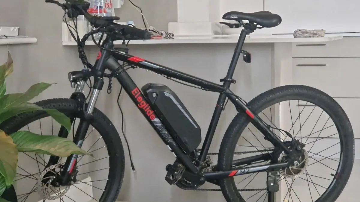 Eleglide M2 E Bike