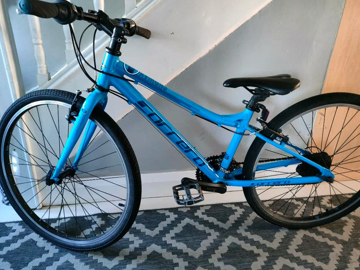 Junior Carrera Bike - Image 2