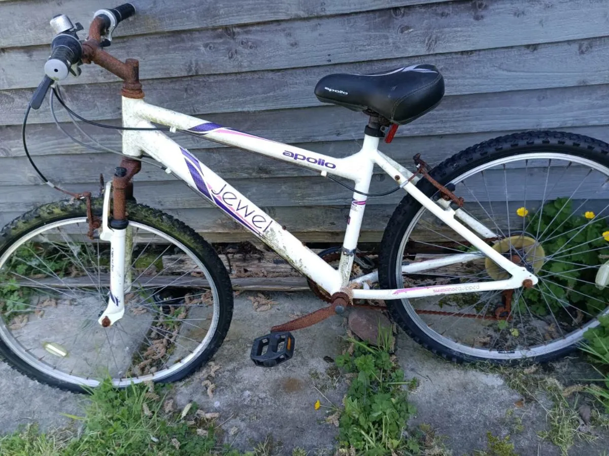 Bikes 4 Sale - Image 4