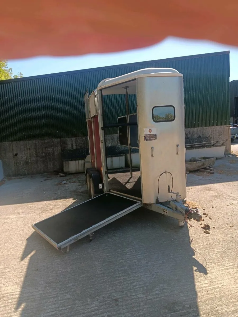 IFOR WILLIAMS 505 HORSE BOX - Image 1