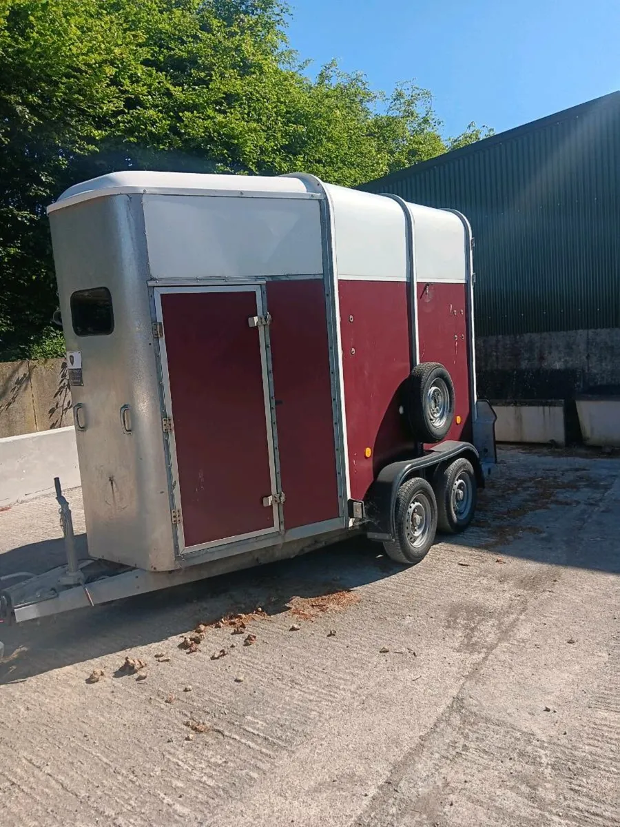 IFOR WILLIAMS 505 HORSE BOX - Image 2