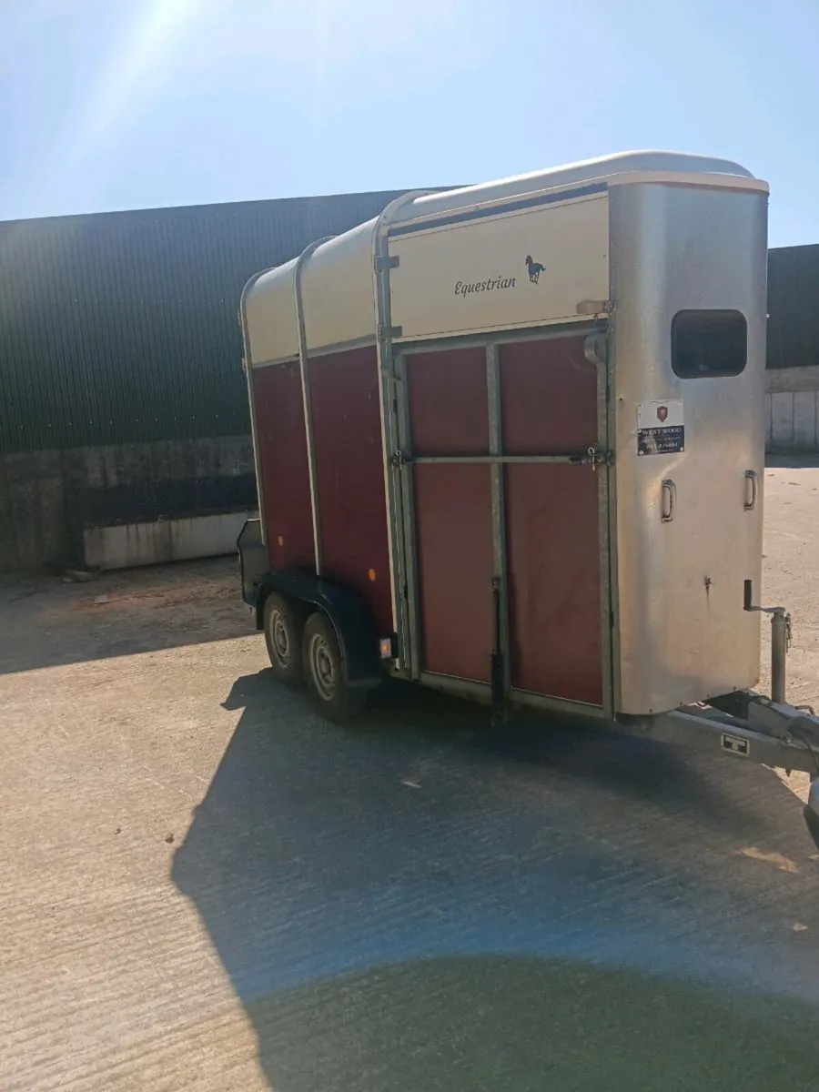 IFOR WILLIAMS 505 HORSE BOX - Image 3