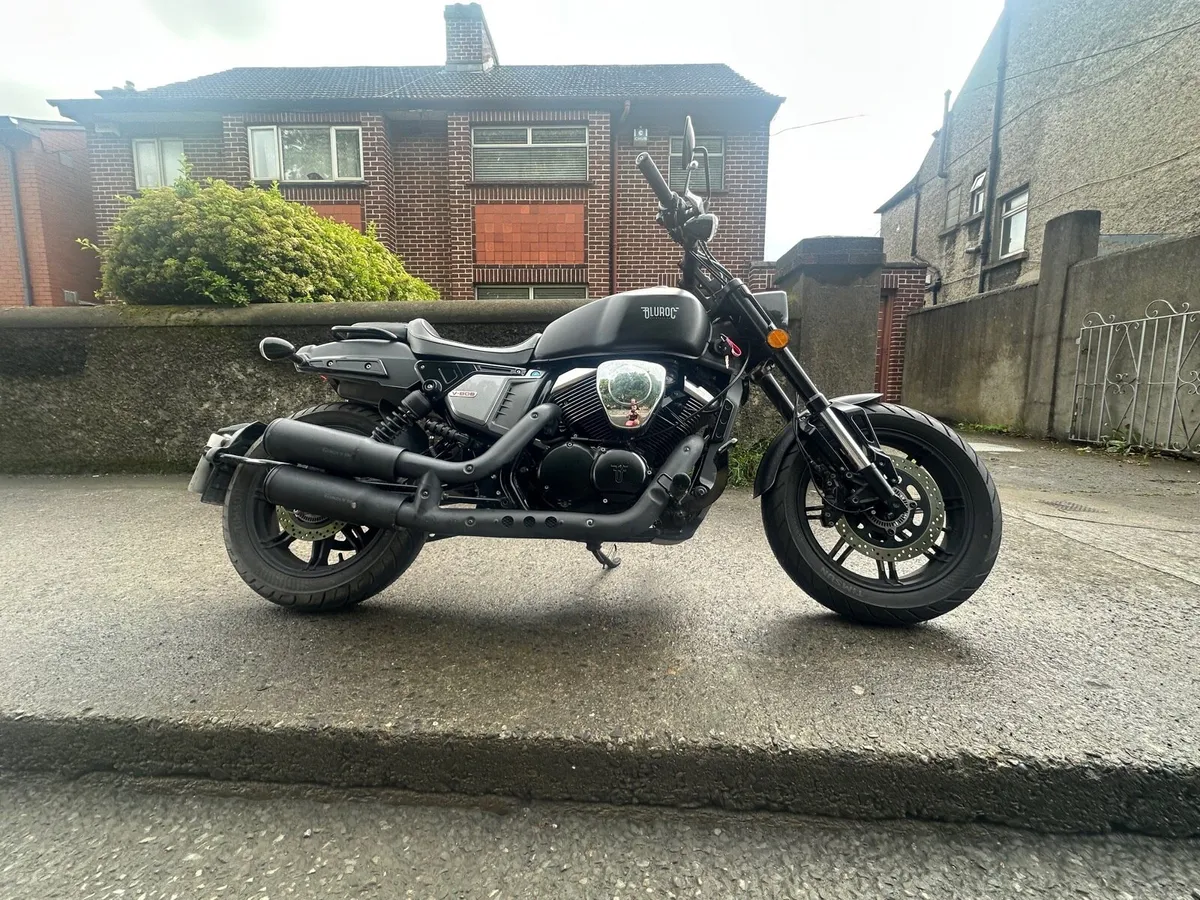Bullit Bluroc v-bob 250 - Image 2