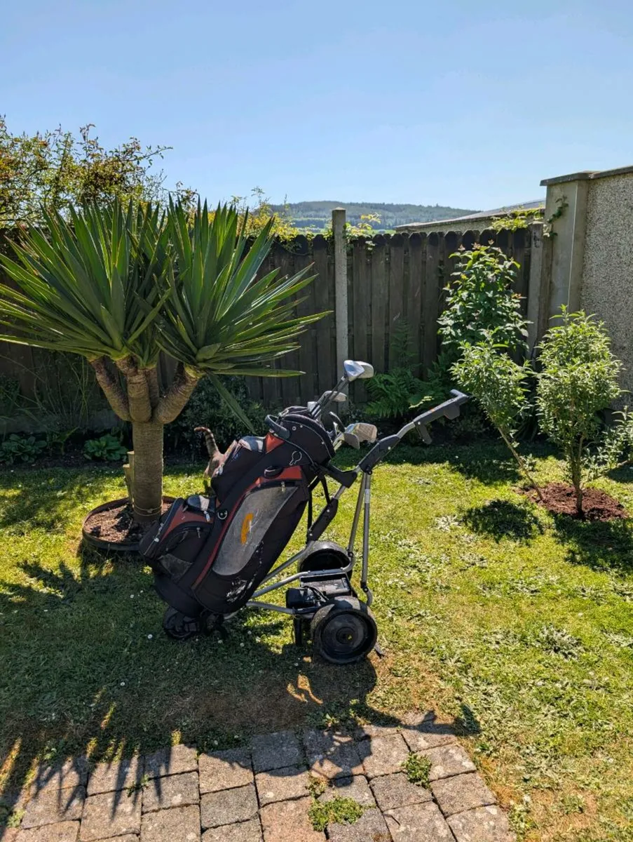 Adult Golf clubs & bag& trolley - Image 1