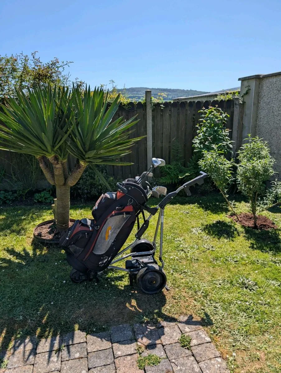 Adult Golf clubs & bag& trolley - Image 2