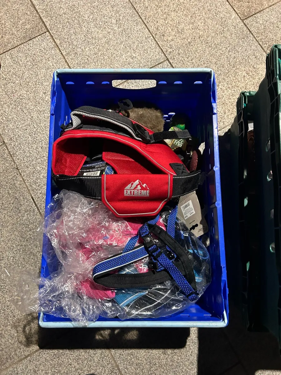 Pet shop contents - Image 1