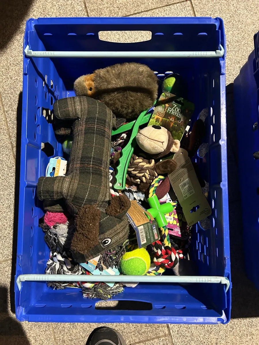 Pet shop contents - Image 3
