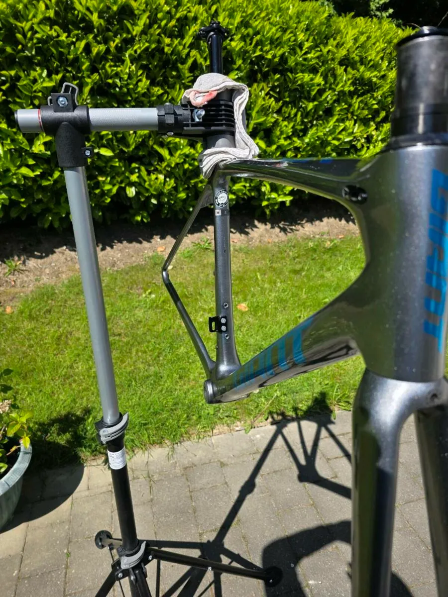 Giant TCR Advanced SL Frameset, Size Medium - Image 2