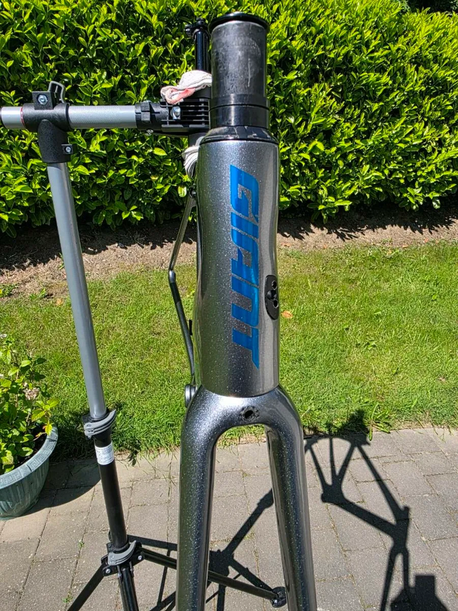 Giant TCR Advanced SL Frameset, Size Medium - Image 3
