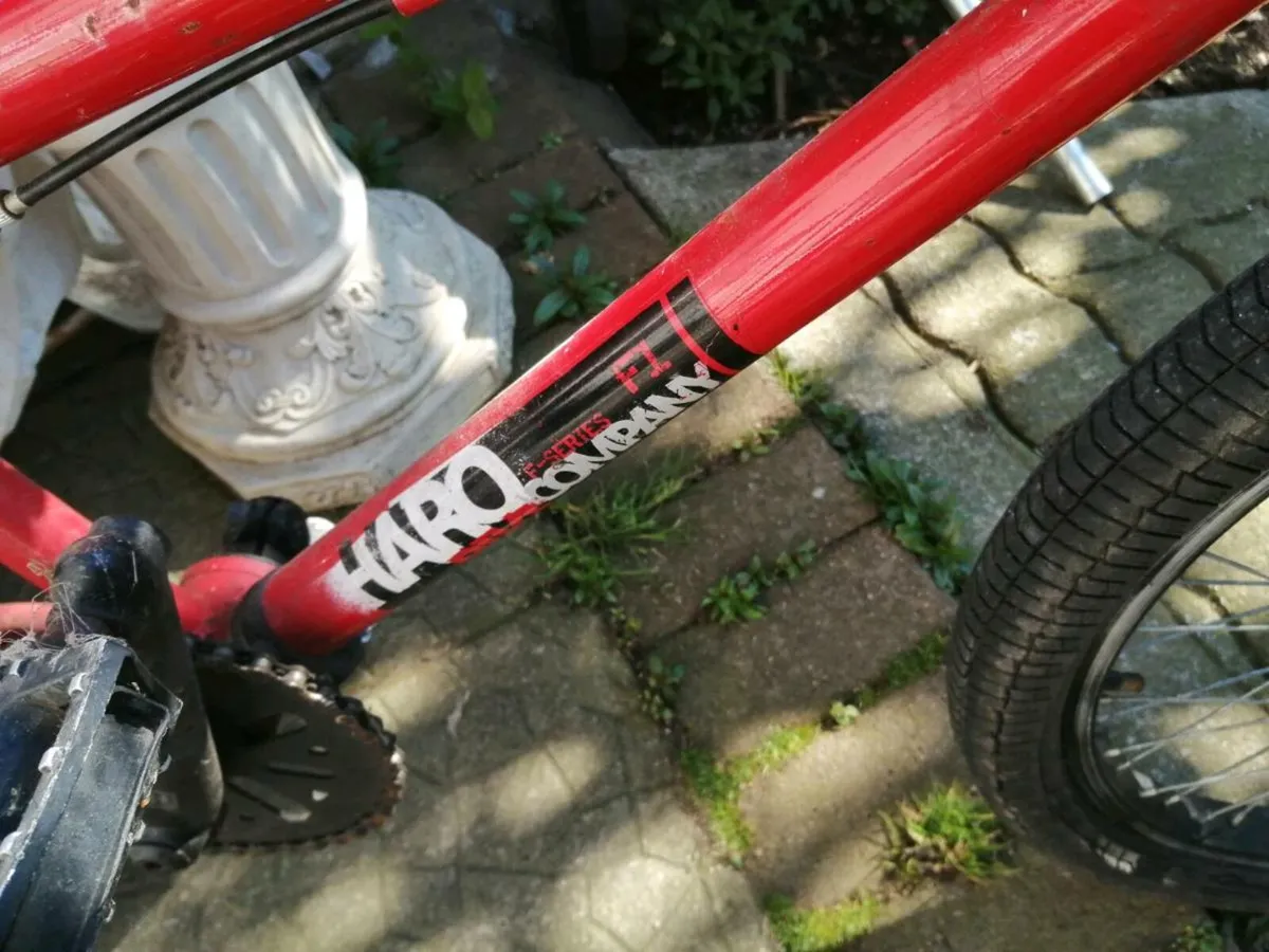 Bicycle x3 see advertisement - Image 2
