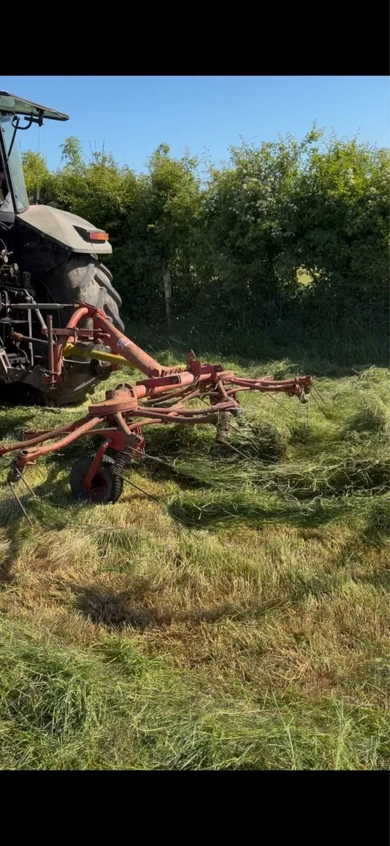 Haybobs lely - Image 1