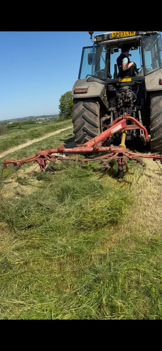 Haybobs lely - Image 2