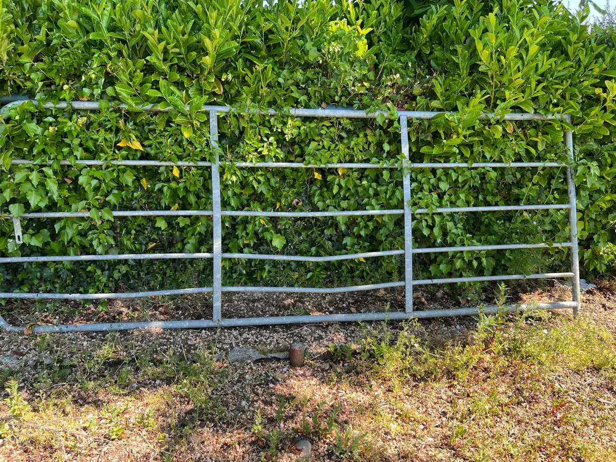 Gate - Image 1