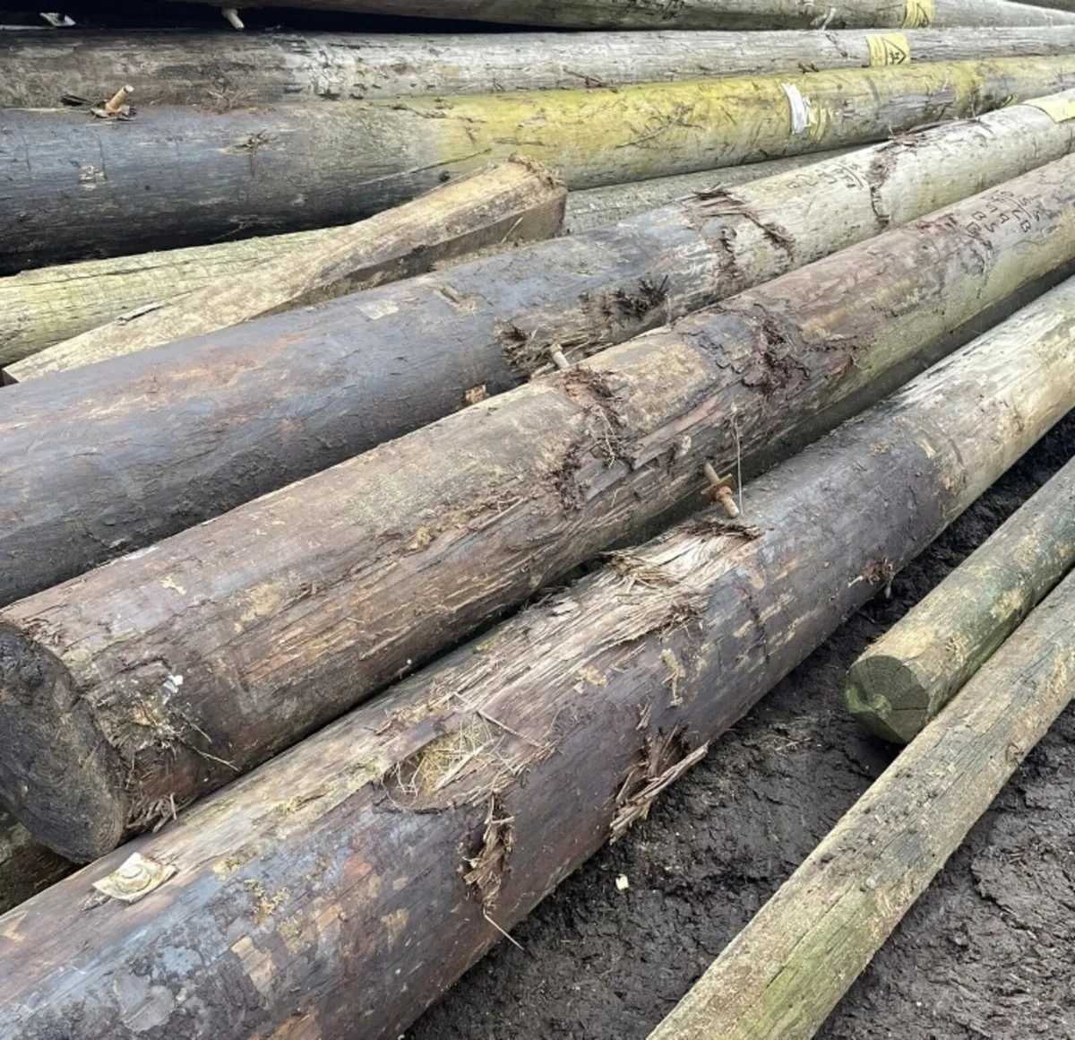 Telegraph poles