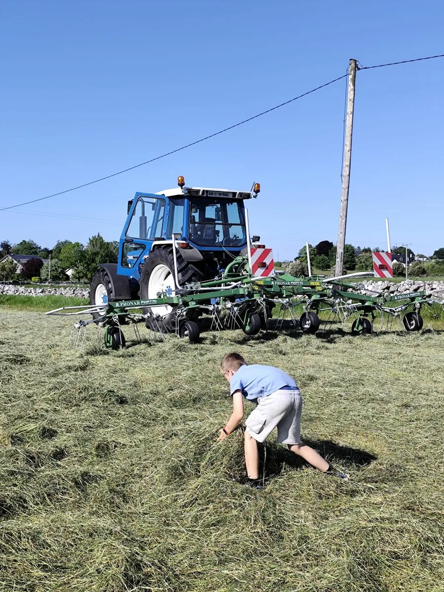 Hay - Image 1