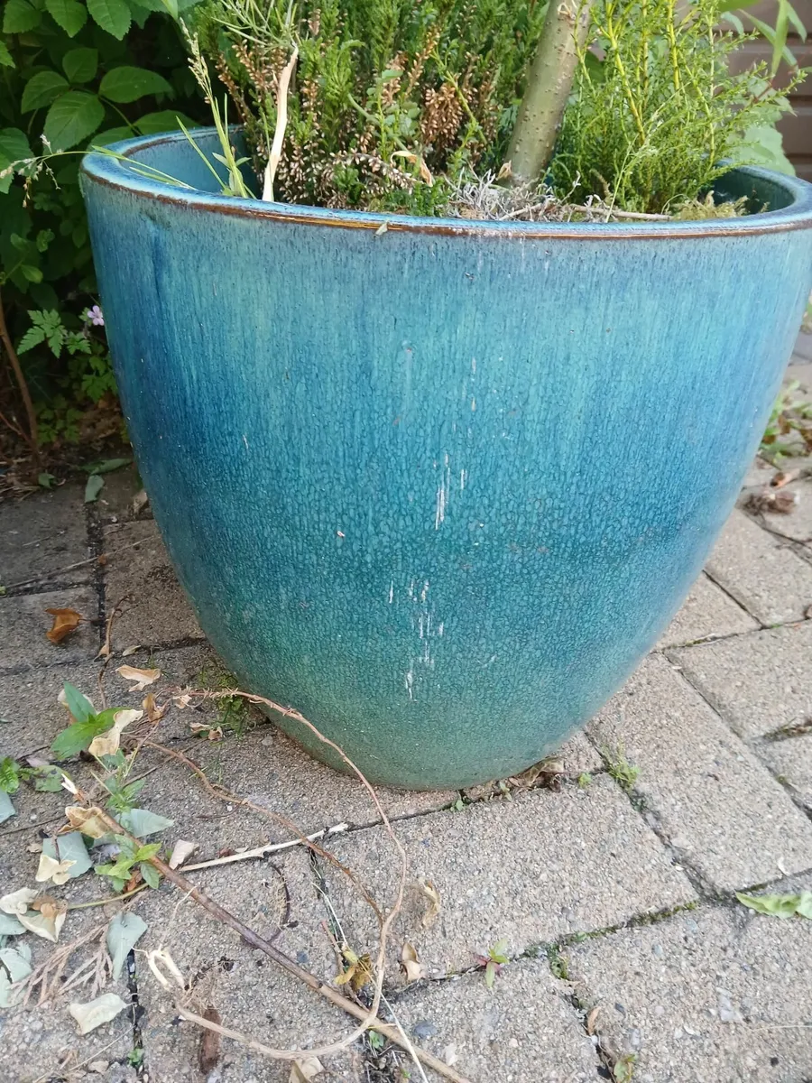 Large Garden Pot Ceramic - Image 2