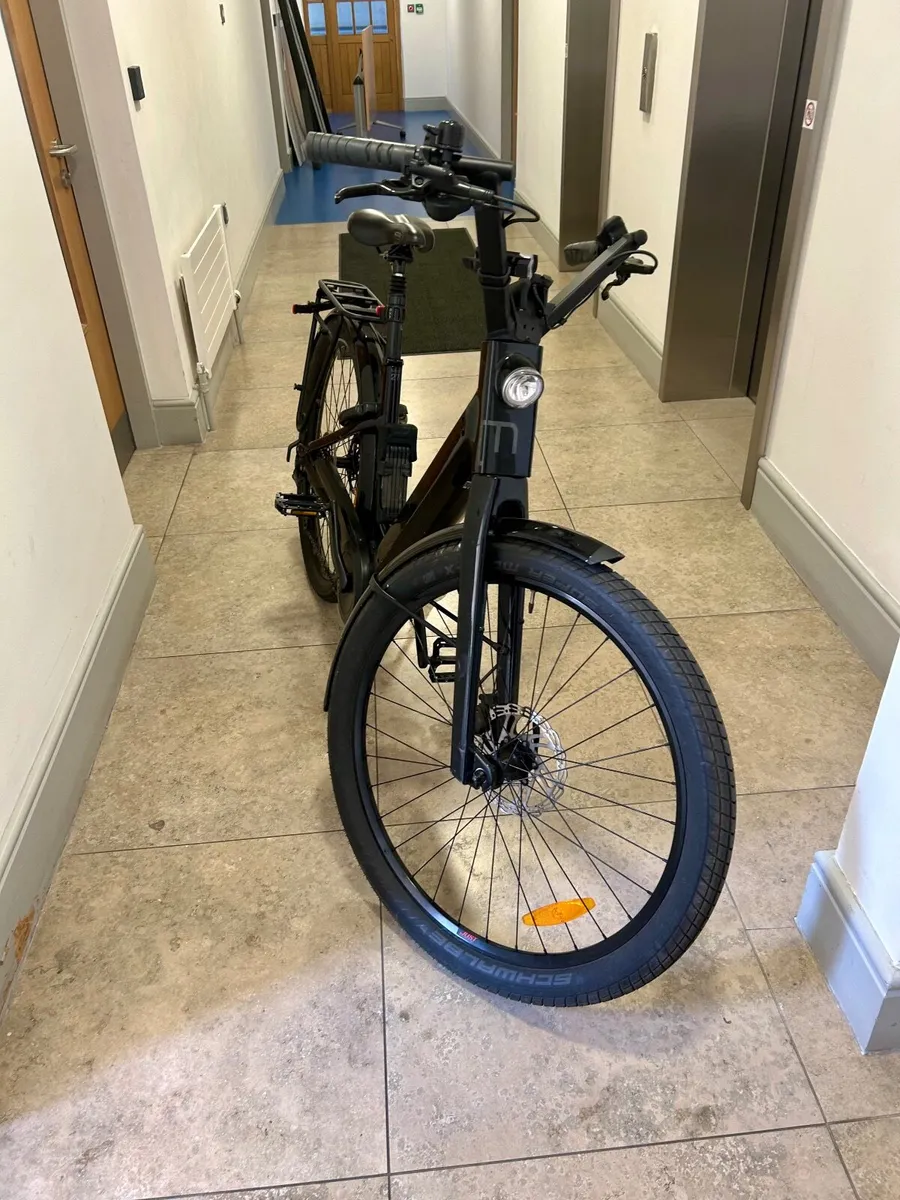 Moustache Electric bike - Image 2