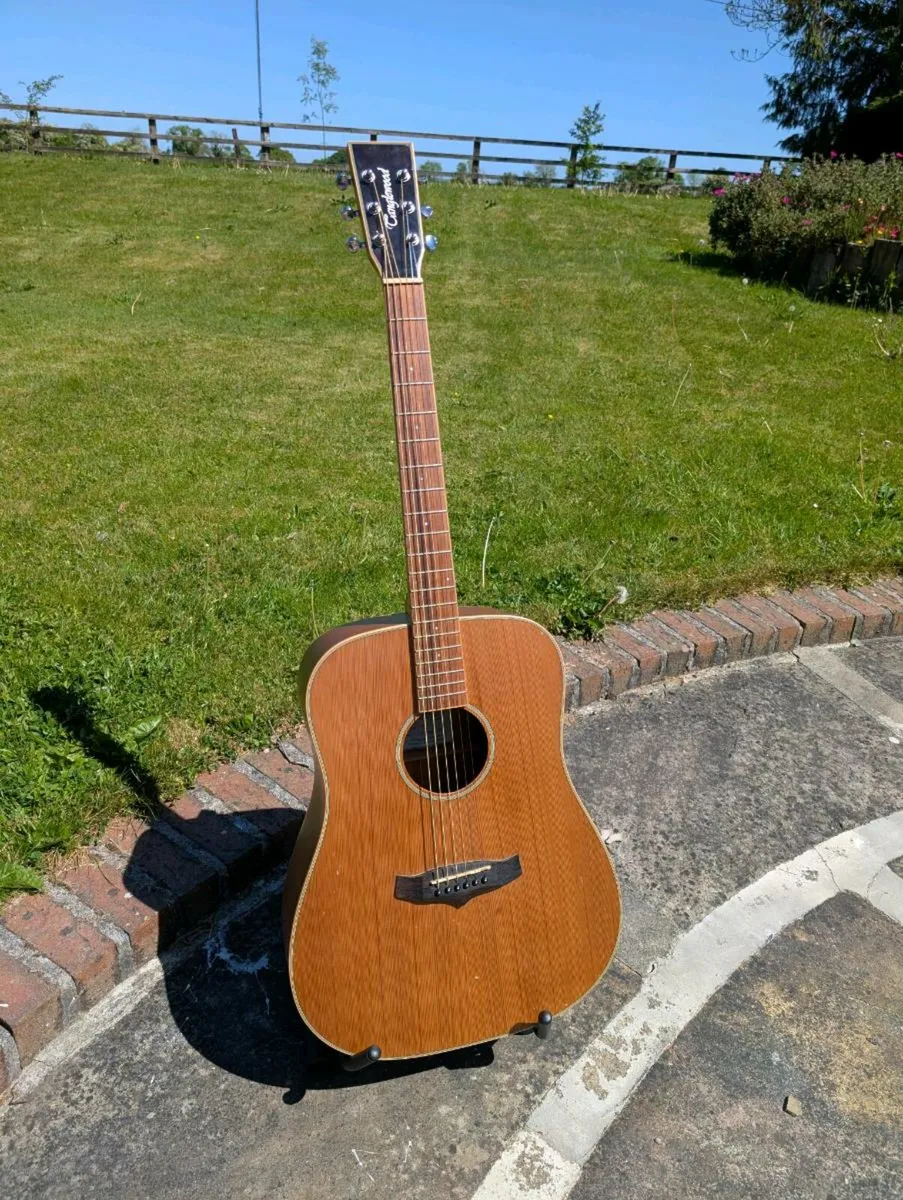 Tanglewood Evolution TW28 - Image 1