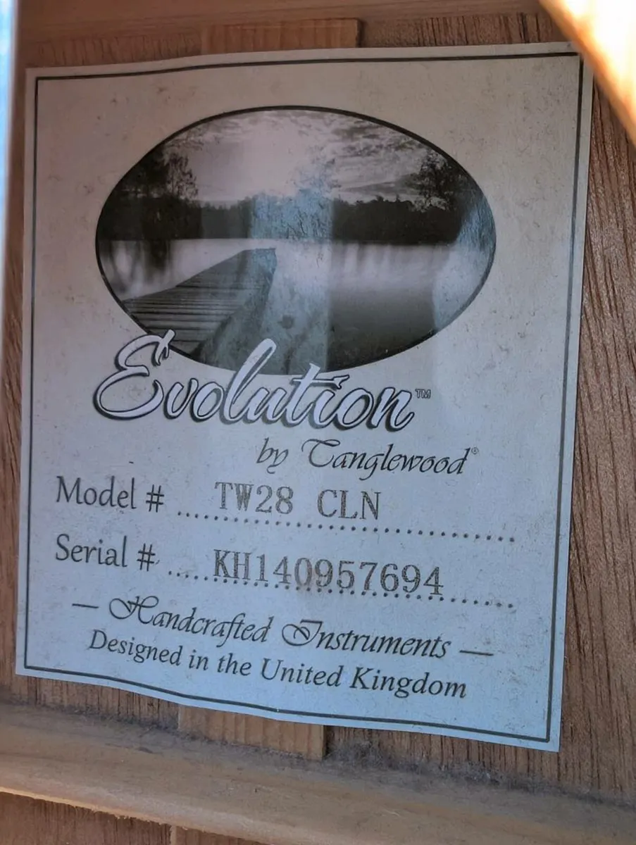 Tanglewood Evolution TW28 - Image 3