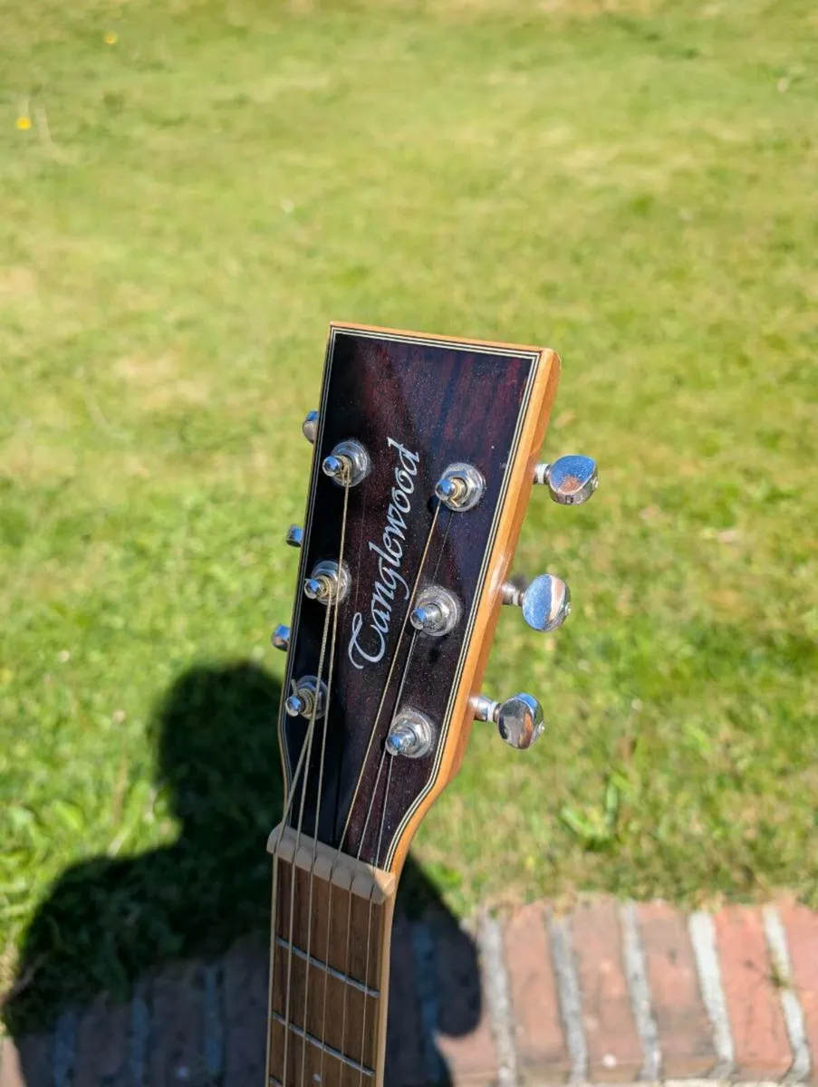 Tanglewood Evolution TW28 - Image 4