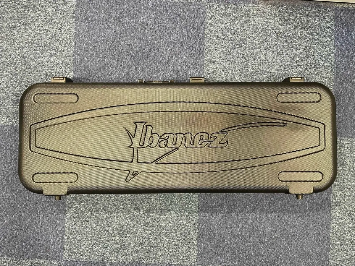 Ibanez Hardcase - Image 1