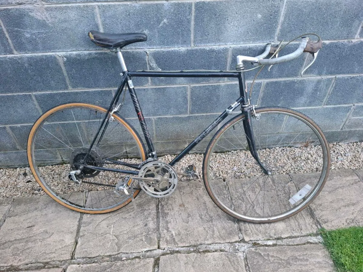 Raleigh Road Bike