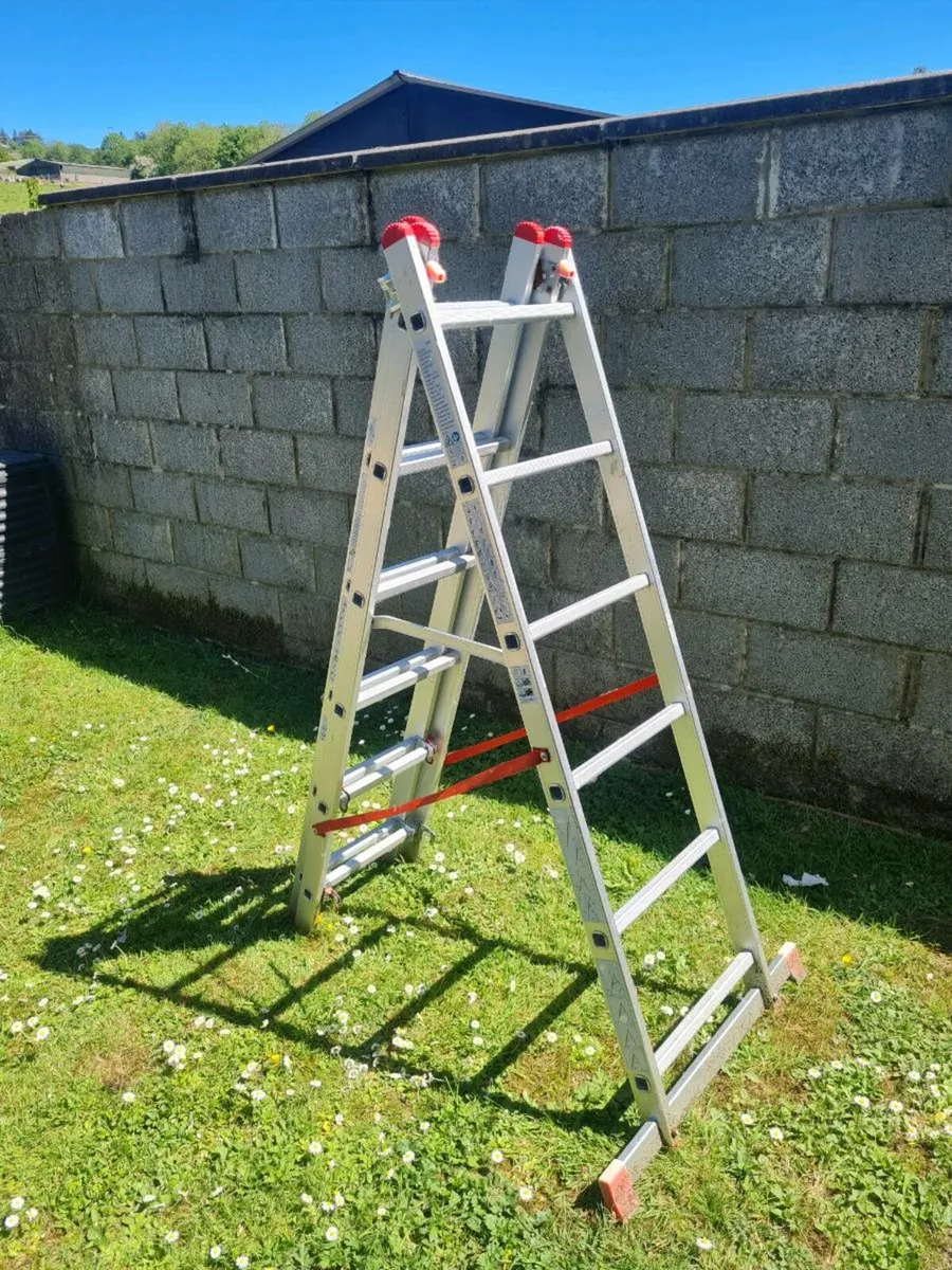 Ladder - Image 3