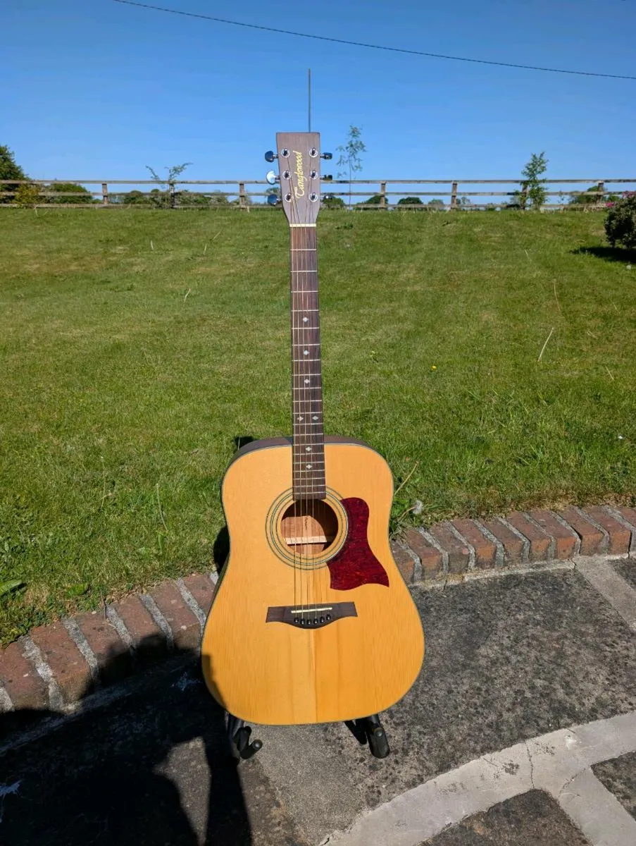 Tanglewood Sundance TW12F Eletro-Acoustic Guitar - Image 1