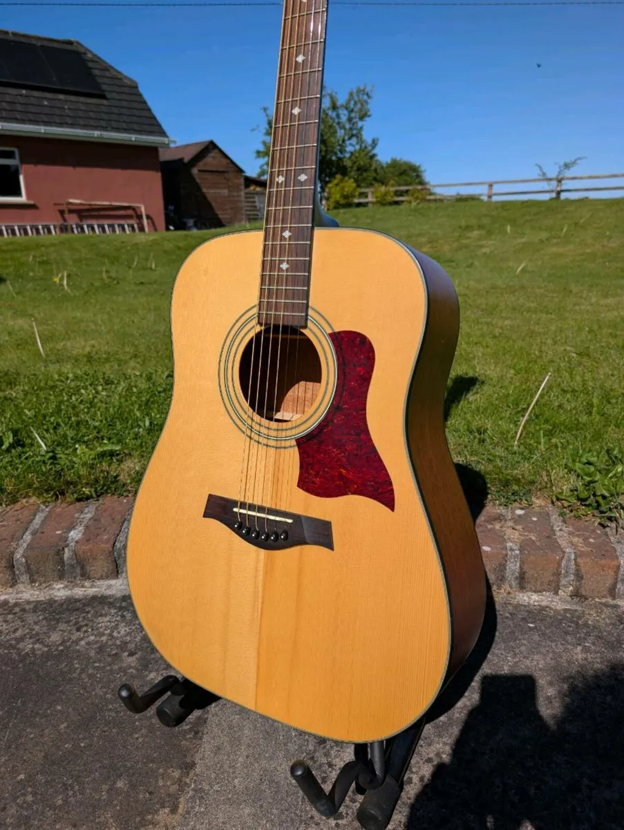 Tanglewood Sundance TW12F Eletro-Acoustic Guitar - Image 2