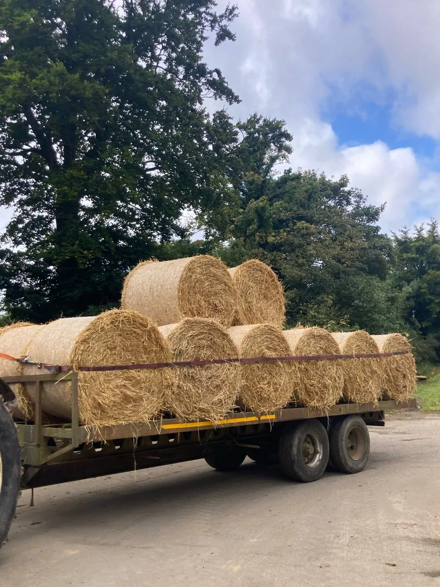 Bale trailer - Image 1