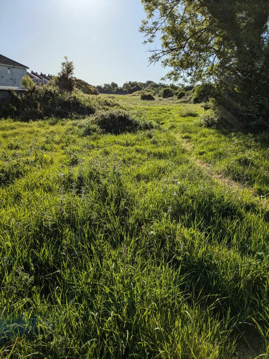Farmland Grazing to let - Image 2