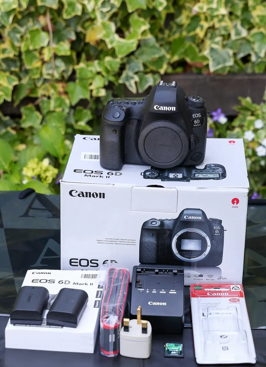 Canon EOS 6D Mark II (body) - Shutter Count: 7 836 - Image 1