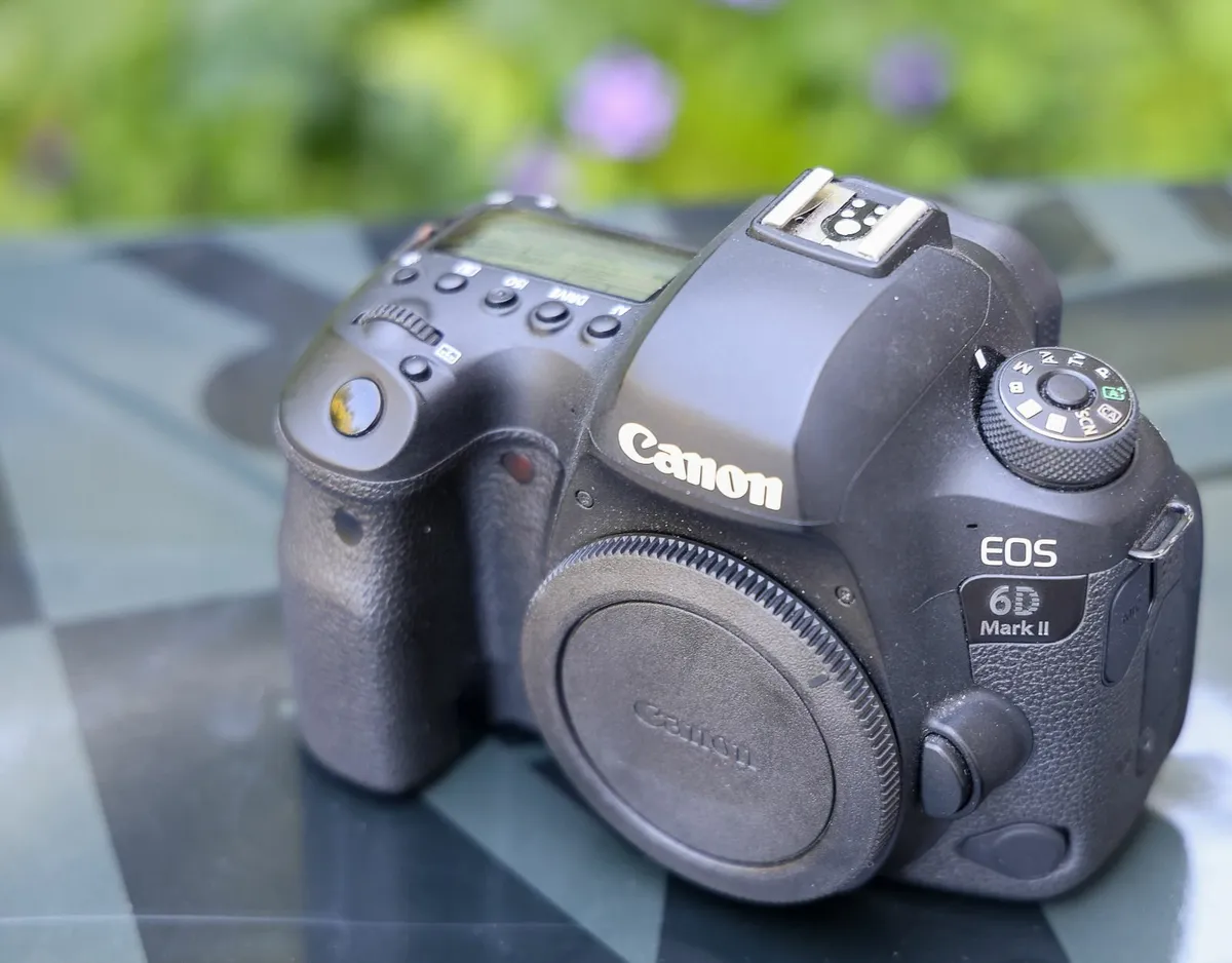 Canon EOS 6D Mark II (body) - Shutter Count: 7 836 - Image 3