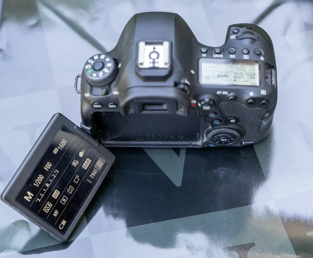 Canon EOS 6D Mark II (body) - Shutter Count: 7 836 - Image 4