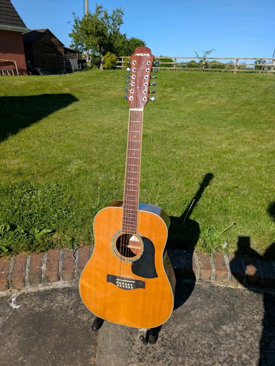 Aria AW-20TN 12-String Acoustic Guitar - Image 1