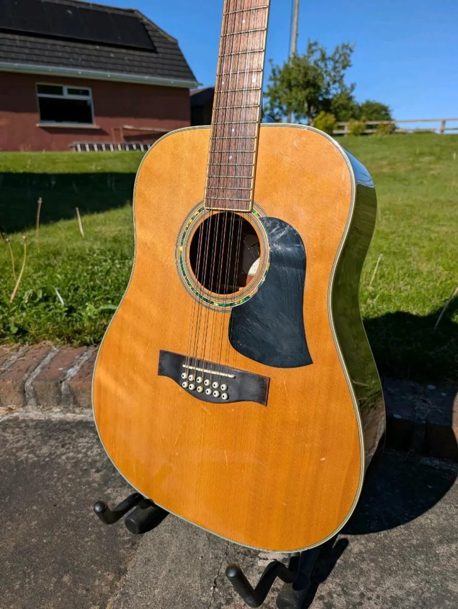 Aria AW-20TN 12-String Acoustic Guitar - Image 2