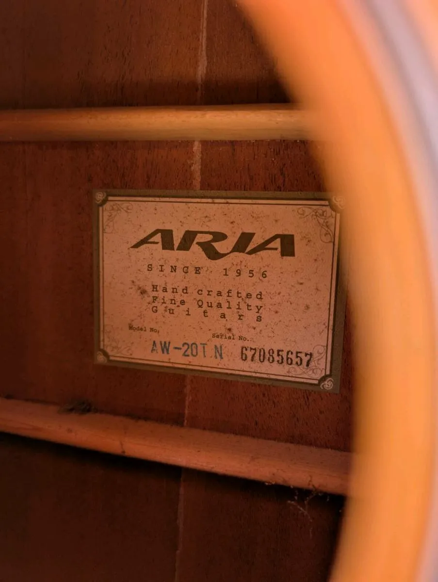 Aria AW-20TN 12-String Acoustic Guitar - Image 3