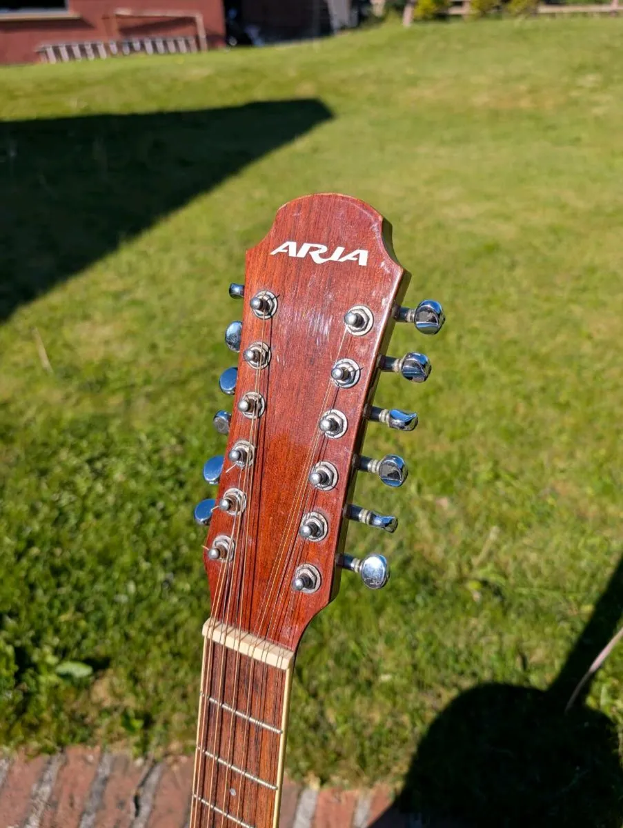 Aria AW-20TN 12-String Acoustic Guitar - Image 4