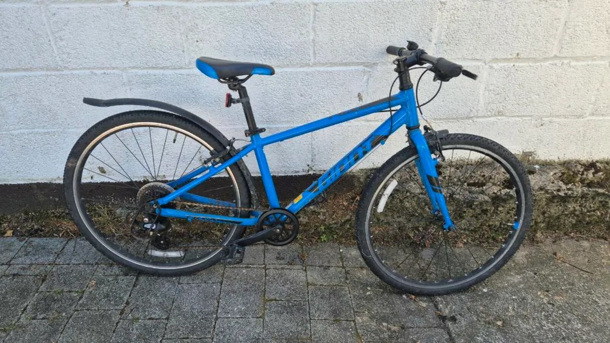 Giant ARX Kids bike
