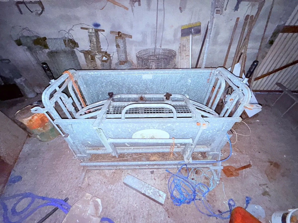 Sheep Weighing Scale - Image 3