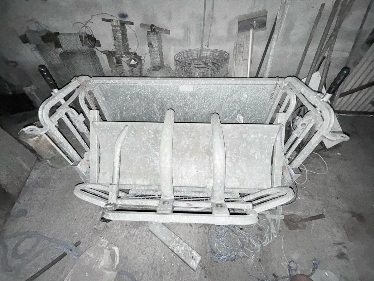 Sheep Weighing Scale - Image 4