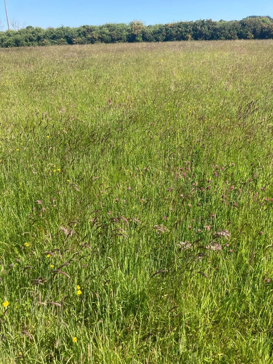 Grassland for Hay/Silage 12 acres - Image 1
