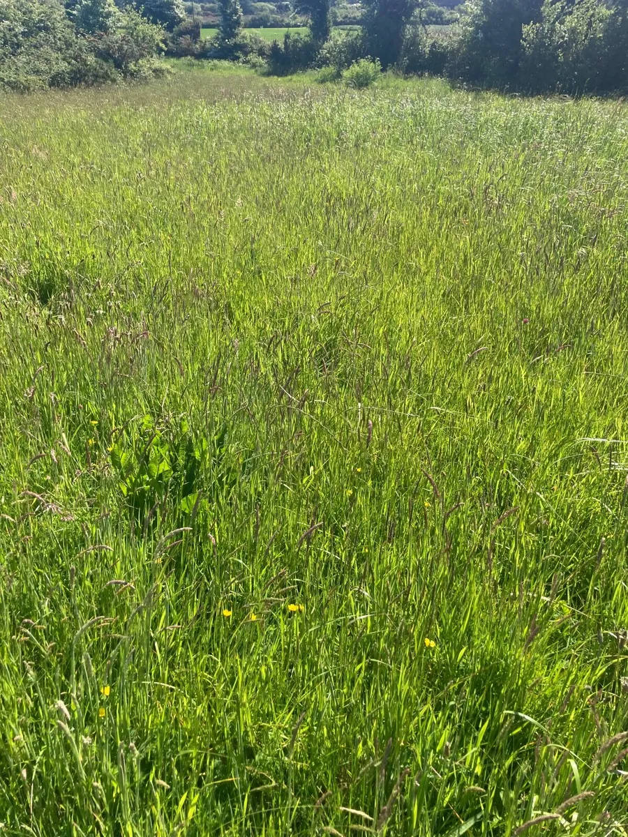 Grassland for Hay/Silage 12 acres - Image 3